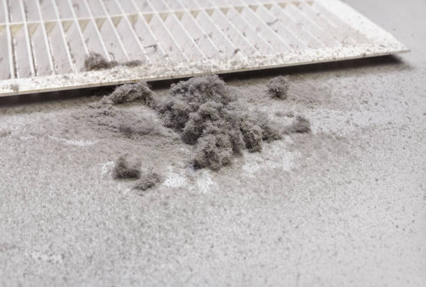 Best Ductwork Cleaning Services  in Galena, IL